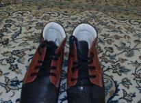 کفش طبی سایز 37 در شیپور-عکس کوچک