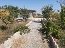 فروش باغچه 600 متر در نظرآباد در شیپور