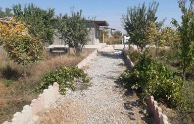 فروش باغچه 600 متر در نظرآباد