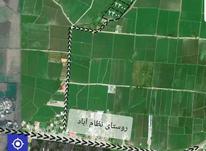 فروش زمین کشاورزی 2400 متر در نظام آباد در شیپور-عکس کوچک