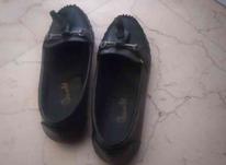 کفش چرم ترک در شیپور-عکس کوچک
