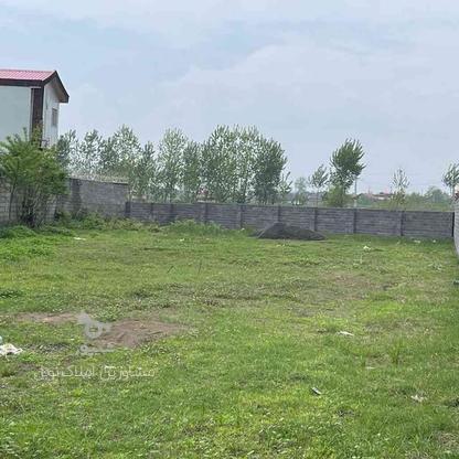زمین مسکونی 1000 متر، سنددار در گروه خرید و فروش املاک در گیلان در شیپور-عکس1