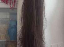 موی مصنوعی ... در شیپور-عکس کوچک