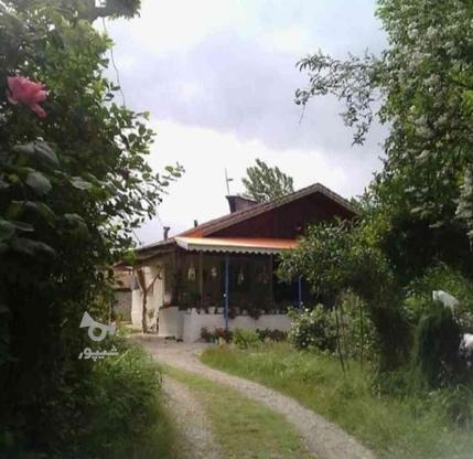 خانه باغ 8,000 متری در گروه خرید و فروش املاک در گیلان در شیپور-عکس1