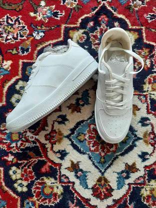 کفش کتانی ورزشی سفید سایز 39 برند ترکیه ای در گروه خرید و فروش لوازم شخصی در تهران در شیپور-عکس1
