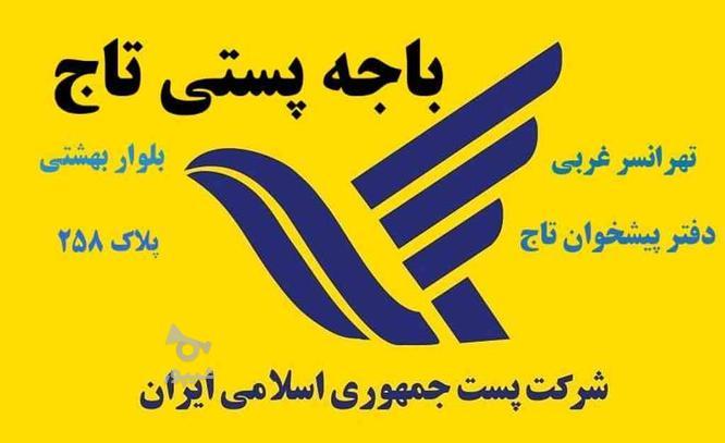 تعدادی خانم دیپلمه جهت دفترپیشخوان دولت در گروه خرید و فروش استخدام در تهران در شیپور-عکس1