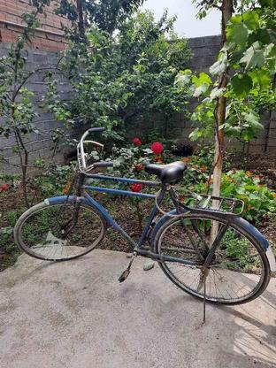 دوچرخه سالم و بدون مشکل بسیار مقاوم در گروه خرید و فروش ورزش فرهنگ فراغت در مازندران در شیپور-عکس1