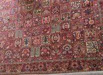 فرش دستبافت12متری سامان مهربافت میرشکار در شیپور-عکس کوچک