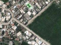فروش زمین مسکونی 220 متری در مینودشت ( ده حسن خان ) در شیپور-عکس کوچک