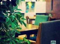 استخدام اشپزخانه کافه رستوران در شیپور-عکس کوچک