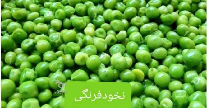 انواع محصولات طبیعی و سبزیجات تازه در گروه خرید و فروش خدمات و کسب و کار در تهران در شیپور-عکس1