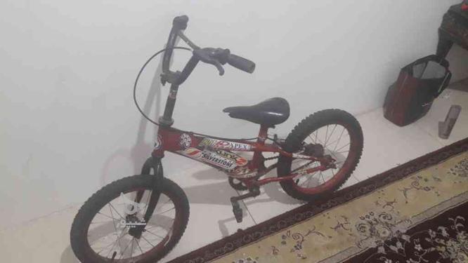 دوچرخه 16سالم در گروه خرید و فروش ورزش فرهنگ فراغت در تهران در شیپور-عکس1