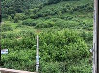 رهن واحد فول ویو دار 120متر درشیخ زاهد در شیپور-عکس کوچک