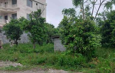 فروش زمین مسکونی 500 متر در رامسر