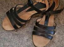 کفش دخترانه در شیپور-عکس کوچک