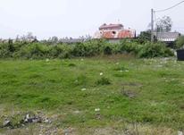 فروش زمین مسکونی 400 متر در مرکز شهر - چاف در شیپور-عکس کوچک