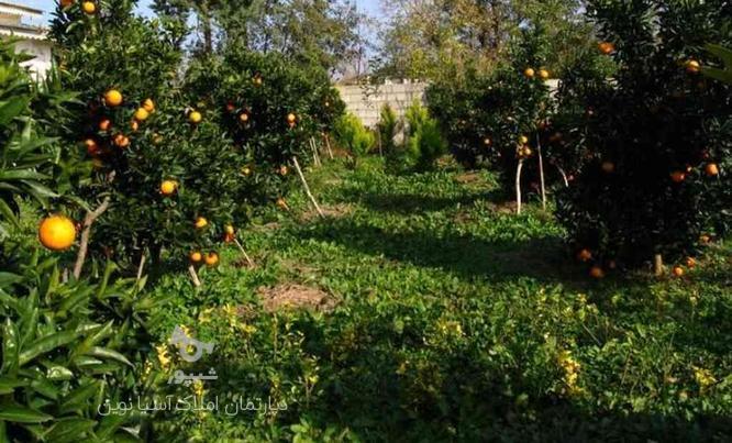 فروش زمین باغی 700 متر در رودسر در گروه خرید و فروش املاک در گیلان در شیپور-عکس1