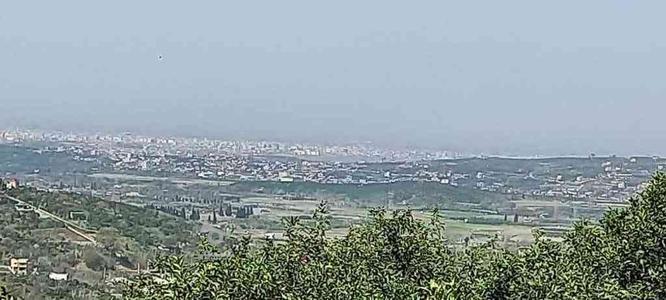 فروش زمین کشاورزی 1000متر گل افشان در گروه خرید و فروش املاک در مازندران در شیپور-عکس1