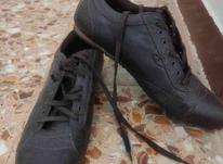 کفش مردانه سایز 43 در شیپور-عکس کوچک
