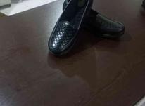 کفش راحتی بادوام بزرگ پا. 43. 42. صندل در شیپور-عکس کوچک