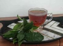 فروش چای درجه یک بهاره لاهیحان.. تضمینی در شیپور-عکس کوچک