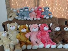 فروش خرس ارزان در شیپور