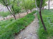 باغ 2500 متری در روستا اخلمد در شیپور-عکس کوچک