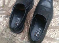 کفش چرمی مردانه سایز 42 در شیپور-عکس کوچک