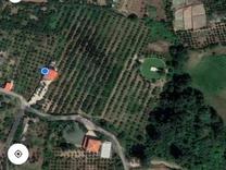 ویلا باغ 25هزار متری سنددار در شیپور