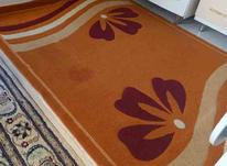 فرش در دوجا سوختگی دارد در شیپور-عکس کوچک