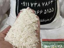 دنبال برنج با کیفیت در شیپور