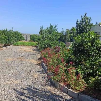 فروش زمین باغی 1100 متر در ساحلی در گروه خرید و فروش املاک در مازندران در شیپور-عکس1