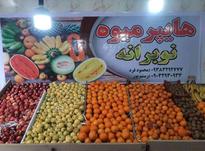 پالت میوه فروشی در شیپور-عکس کوچک
