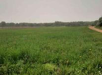 زمین کشاورزی برده رشه 3000متری در شیپور-عکس کوچک