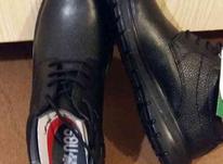 دو جفت کفش چرم اصلی بسیار مرغوب به شرط سایز 41 و 42 در شیپور-عکس کوچک