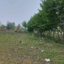 زمین 1,500 متری بر ساحل رودسر