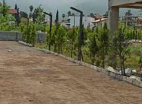 فروش زمین مسکونی 420 متر در چلندر در شیپور-عکس کوچک