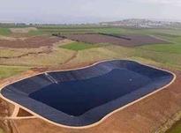 ورق ژئوممبران برای استخر ذخیره آب کشاورزی در شیپور-عکس کوچک