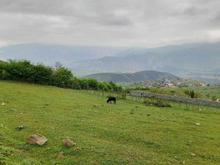 فروش زمین کشاورزی 1000 متر در کلاک - پردنگون در شیپور