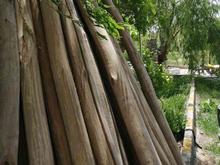 خریدانواع چوب در شیپور
