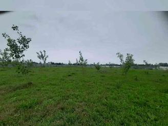 یک و نیم هکتار زمین مناسب برای شهرک سازی در لولمان رشت