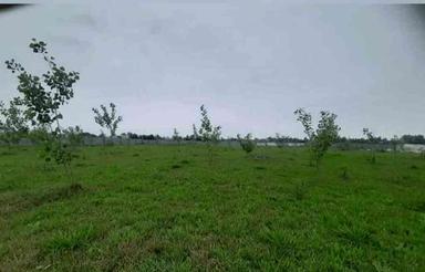 یک و نیم هکتار زمین مناسب برای شهرک سازی در لولمان رشت