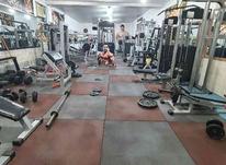 باشگاه بدنسازی در شیپور-عکس کوچک
