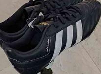 کفش فوتبالی ادیداس در شیپور-عکس کوچک