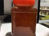 عسل طبیعی کیفیت تضمینی در شیپور-عکس کوچک