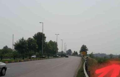 شالیزار 4,000 متری برنج در کمربندی رودسر