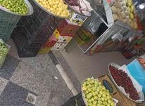 استخدام کارگر میوه میوه فروشی در شیپور-عکس کوچک