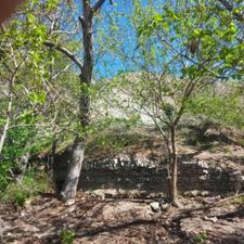 فروش زمین کشاورزی 1650 متر در کردان