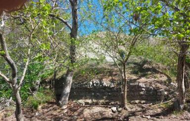 فروش زمین کشاورزی 1650 متر در کردان