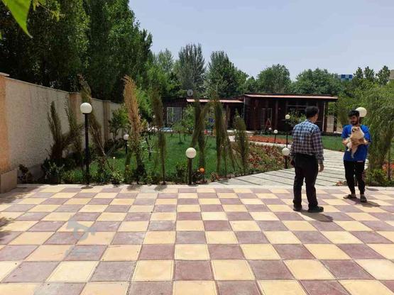 فروش زمین 1000 متر در کردان در گروه خرید و فروش املاک در البرز در شیپور-عکس1